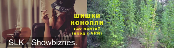 ПСИЛОЦИБИНОВЫЕ ГРИБЫ Горнозаводск