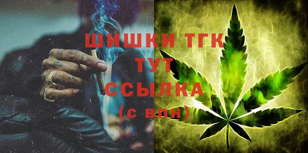 молекула духа Горняк
