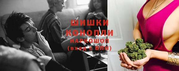 ПСИЛОЦИБИНОВЫЕ ГРИБЫ Горнозаводск