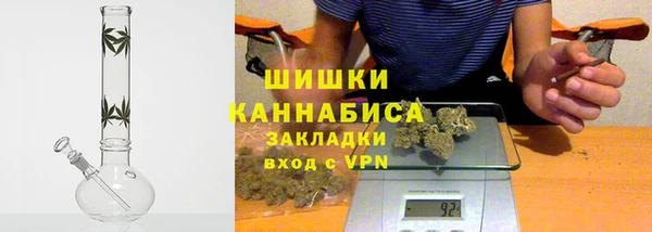 ПСИЛОЦИБИНОВЫЕ ГРИБЫ Горнозаводск