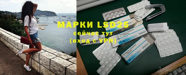 ПСИЛОЦИБИНОВЫЕ ГРИБЫ Горнозаводск