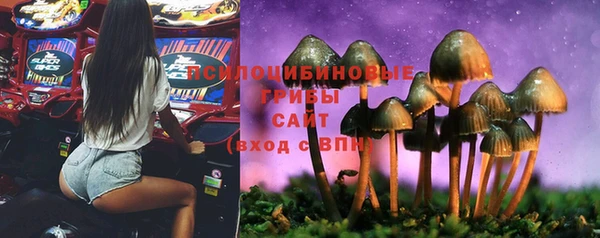 дживик Горно-Алтайск