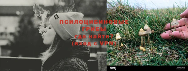 дживик Горно-Алтайск