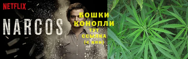 молекула духа Горняк