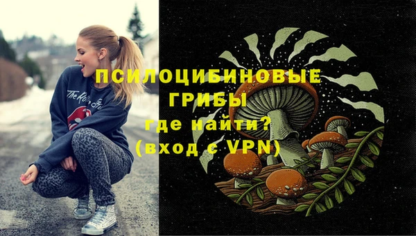 молекула духа Горняк