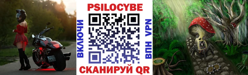 Купить закладки  Кольчугино  Псилоцибиновые грибы ЛСД 